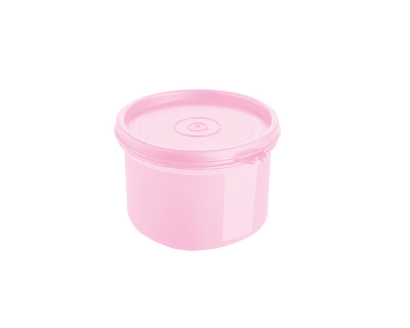 Fresher ware Container (1 Pce)