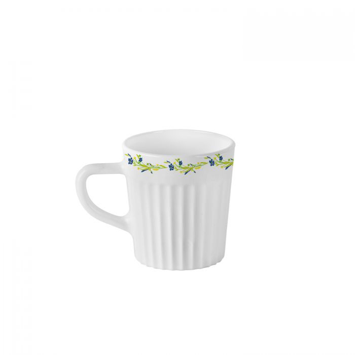 Oxford Amazon Creeper