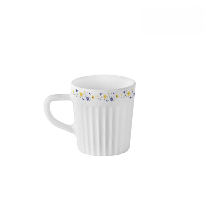 Oxford Blooming Daisy