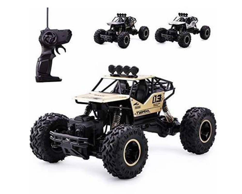 Remote Controlled Rock