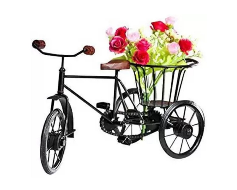 Cycle Automobile Showpiece 2